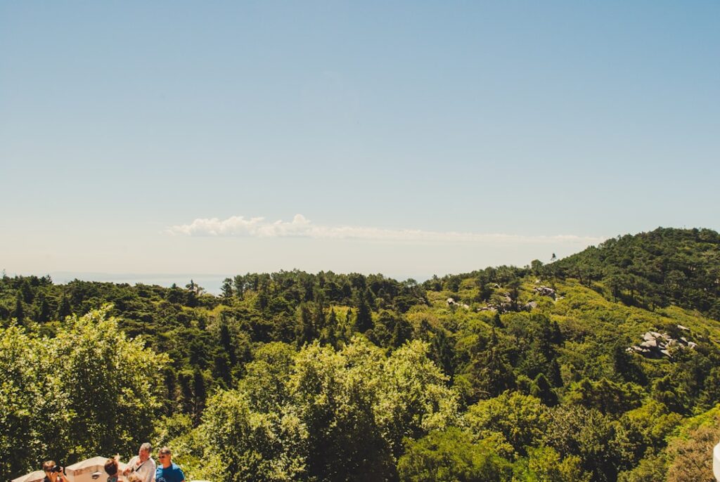 Panoramic view of the lush green forests of Sintra, Portugal, as seen from Pena Palace — a serene and scenic stop on the Yes, You Deserve private tuk tuk tours.