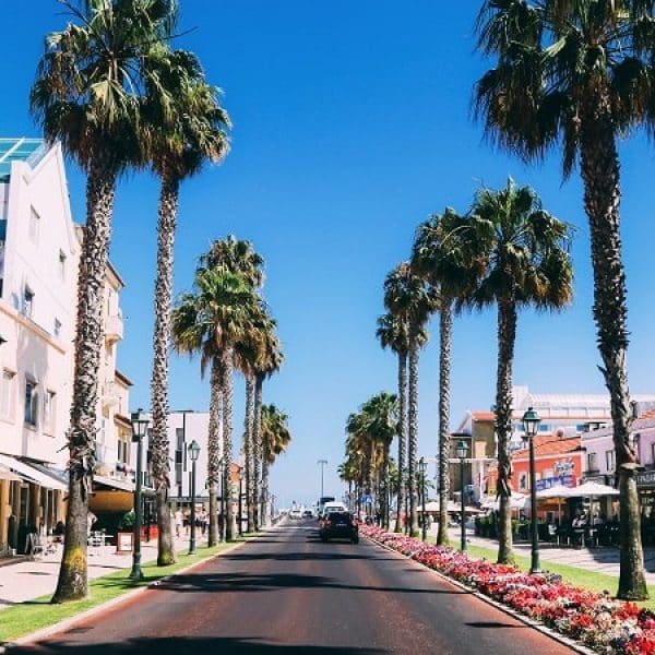 Palm-lined street in Cascais, Portugal, with colorful buildings and shops on a sunny day – popular destination on day tours from Lisbon.